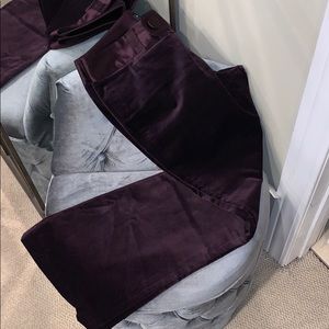 Amethyst Velvet Banana Republic Martin Pants Size 4